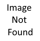 screenshot of the icon for "stop sharing" desktop